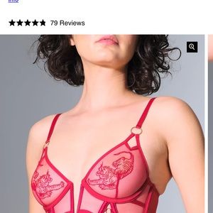 TIGRIS BRA from Thistle and Spire. Size 32C